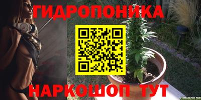 прущие крисы Краснодар