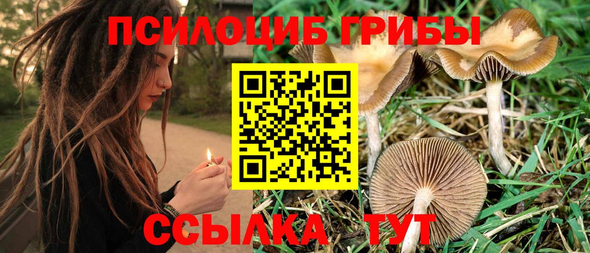 Златоуст  Псилоцибиновые грибы Cubensis  Псилоцибиновые грибы GOLDEN TEACHER  Вход с VPN 